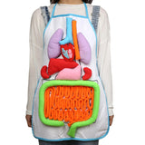 Anatomy Apron- An Educational Toy for Children