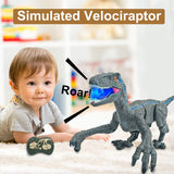 RemoteControlDinosaur15.jpg