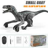 Remote Control Dinosaur Toys