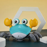 Crawling Crab Sensory Toy